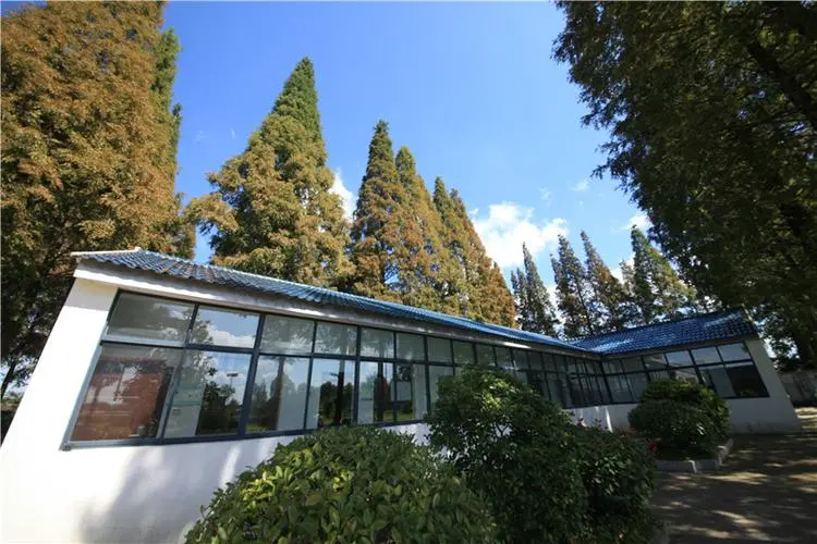 宝应湖电子商务.png