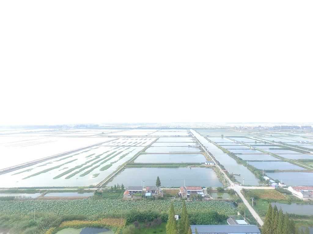 “宝应湖”大闸蟹养殖基地2