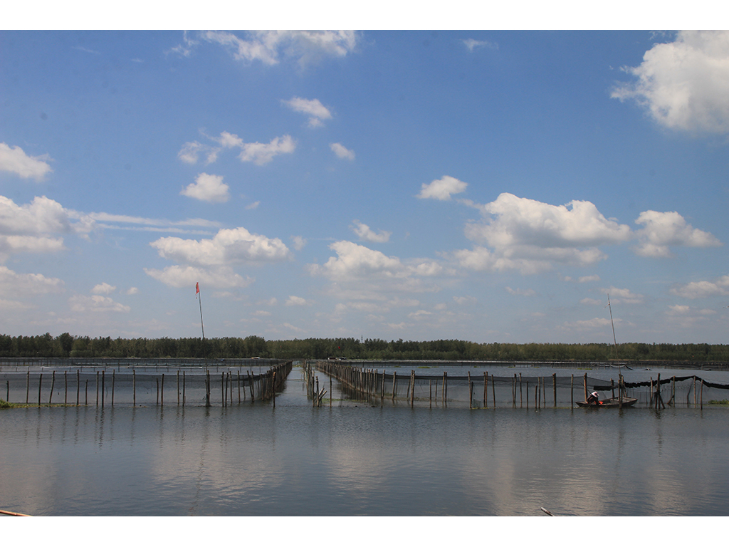 “宝应湖”大闸蟹养殖基地4